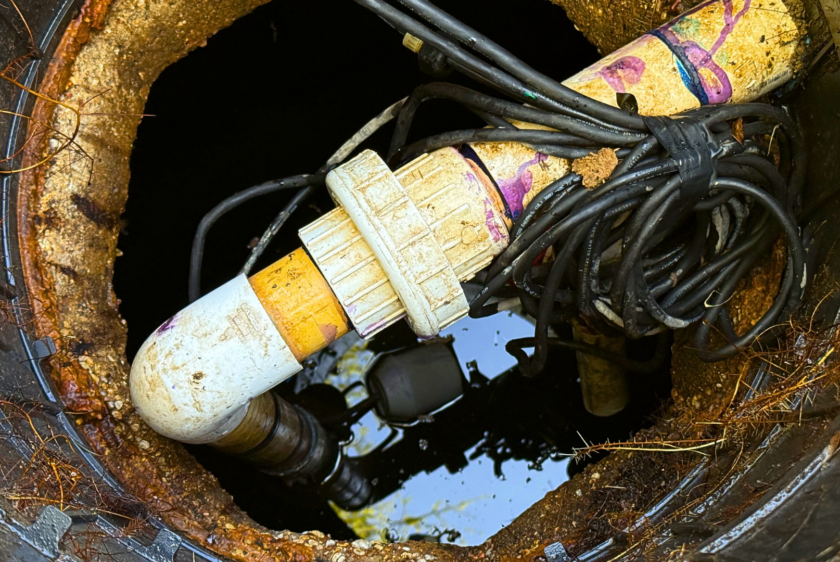 Untitled design - 2026-07-06T111659.241